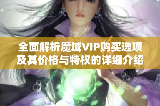 全面解析魔域vip购买选项及其价格与特权的详细介绍